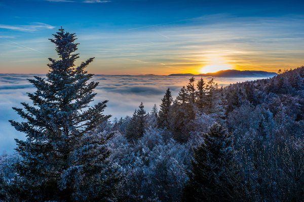 Comment choisir un système de brumisation pour les abords de la piscine en climat aride?