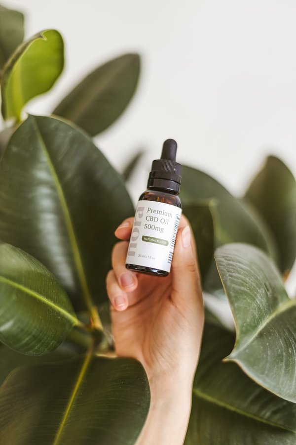 CBD chez les animaux : de quoi s'agit-il exactement ?