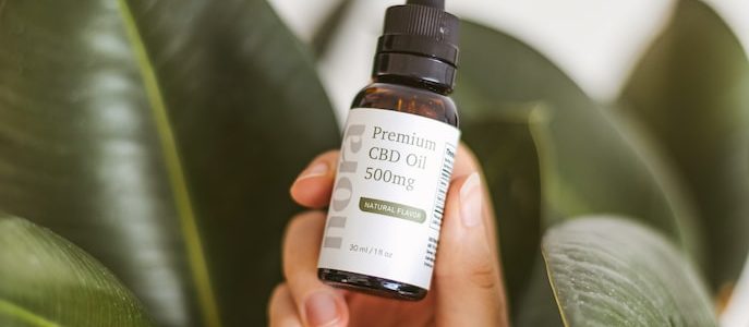 CBD chez les animaux : de quoi s’agit-il exactement ?