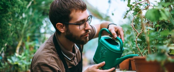 L’Olla, astuce simple pour irriguer naturellement vos plantations