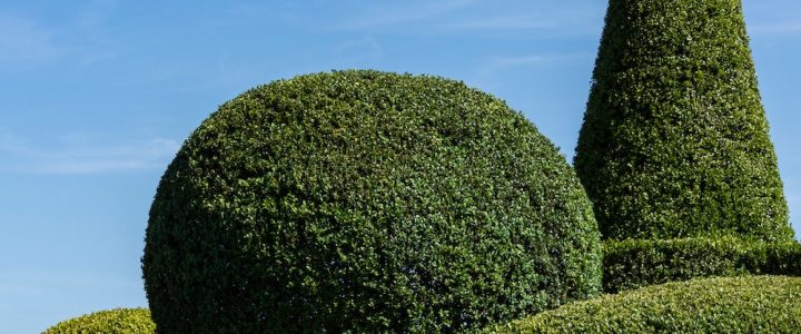 Les idées pour aménager un coin barbecue et détente dans son jardin